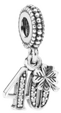 Load image into Gallery viewer, 21 -60 Years old Dangle Charm
