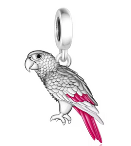 African Grey Charm