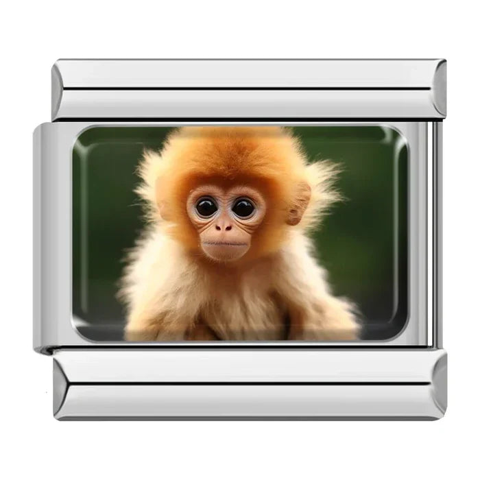 Monkey Charm