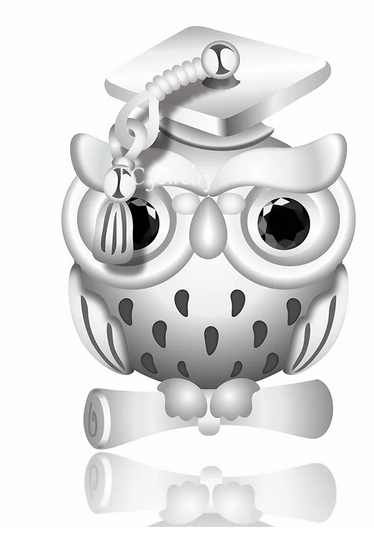 Graduation Owl Charm