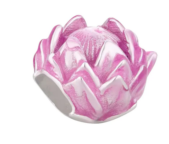 Protea Charm
