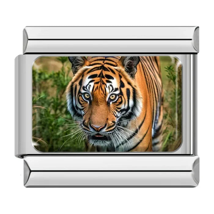 Tiger Charm