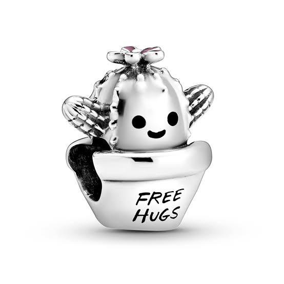 925 Sterling Silver Free Hugs Cactus Bead Charm